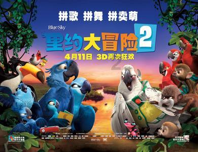 可爱小猫向上跳