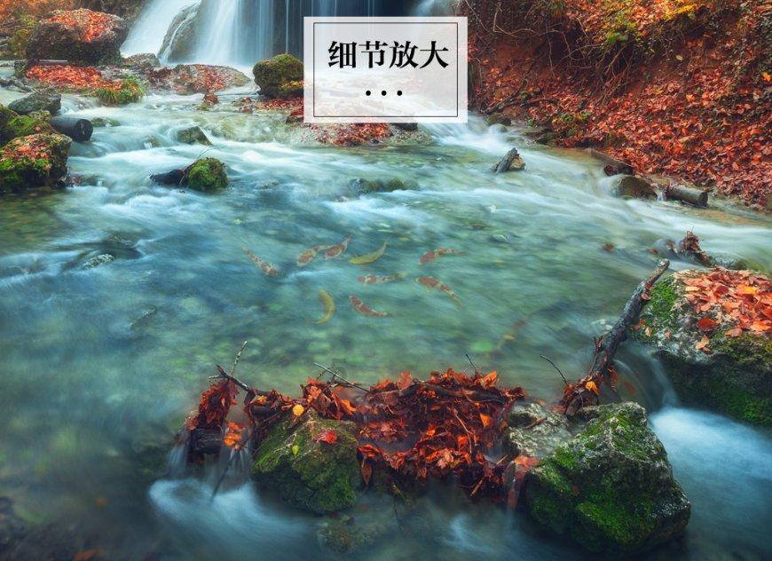 你攒钱的动力都有哪些？